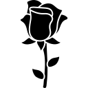 6620744